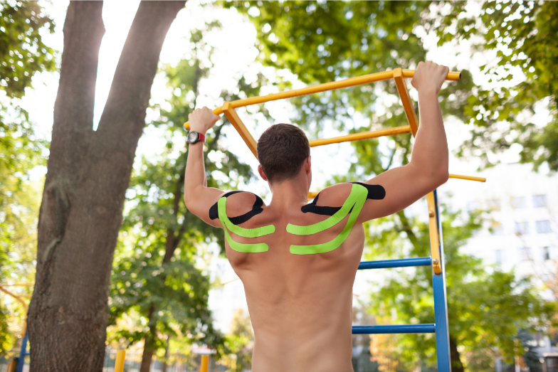 what muscles do pull-ups work